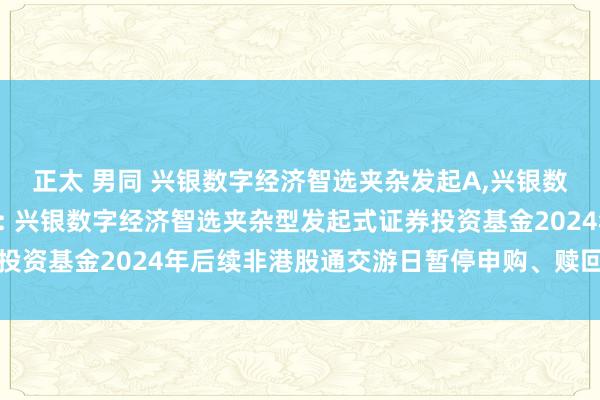 正太 男同 兴银数字经济智选夹杂发起A，兴银数字经济智选夹杂发起C: 兴银数字经济智选夹杂型发起式证券投资基金2024年后续非港股通交游日暂停申购、赎回业务的公告