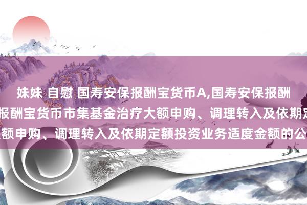 妹妹 自慰 国寿安保报酬宝货币A，国寿安保报酬宝货币B: 对于国寿安保报酬宝货币市集基金治疗大额申购、调理转入及依期定额投资业务适度金额的公告
