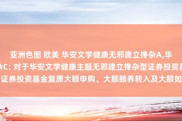 亚洲色图 欧美 华安文学健康无邪建立搀杂A,华安文学健康无邪建立搀杂C: 对于华安文学健康主题无邪建立搀杂型证券投资基金复原大额申购、大额颐养转入及大额如期定额投资的公告