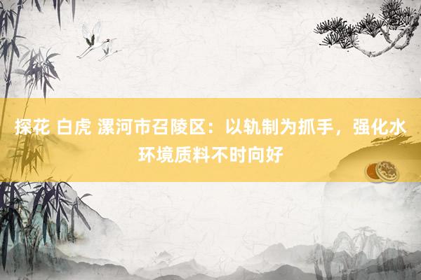 探花 白虎 漯河市召陵区：以轨制为抓手，强化水环境质料不时向好