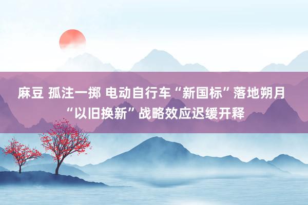 麻豆 孤注一掷 电动自行车“新国标”落地朔月 “以旧换新”战略效应迟缓开释
