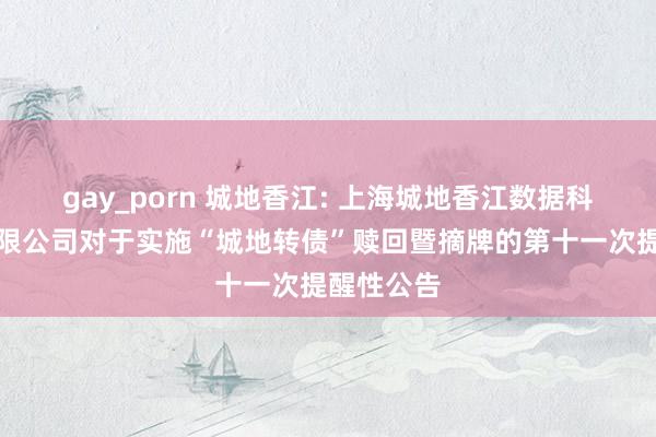 gay_porn 城地香江: 上海城地香江数据科技股份有限公司对于实施“城地转债”赎回暨摘牌的第十一次提醒性公告
