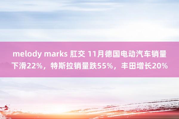 melody marks 肛交 11月德国电动汽车销量下滑22%，特斯拉销量跌55%，丰田增长20%