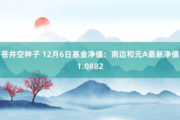 苍井空种子 12月6日基金净值：南边和元A最新净值1.0882