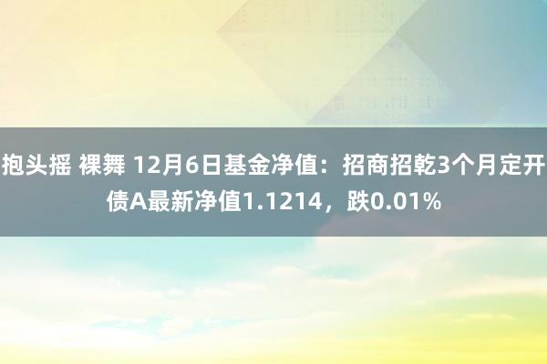 抱头摇 裸舞 12月6日基金净值：招商招乾3个月定开债A最新净值1.1214，跌0.01%