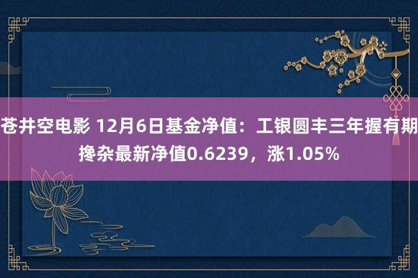 苍井空电影 12月6日基金净值：工银圆丰三年握有期搀杂最新净值0.6239，涨1.05%