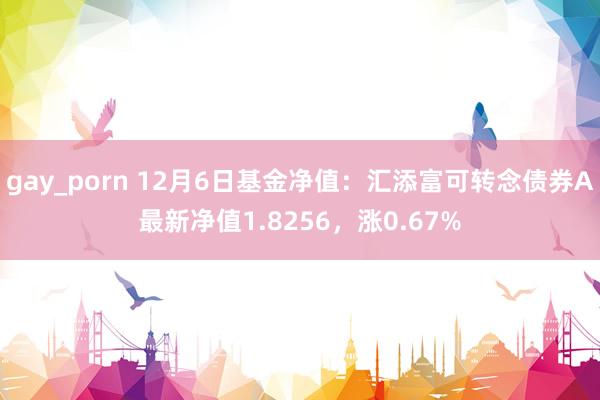 gay_porn 12月6日基金净值：汇添富可转念债券A最新净值1.8256，涨0.67%
