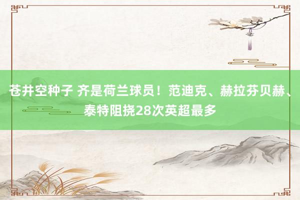 苍井空种子 齐是荷兰球员！范迪克、赫拉芬贝赫、泰特阻挠28次英超最多