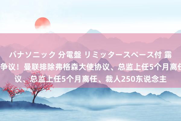 パナソニック 分電盤 リミッタースペース付 露出・半埋込両用形 引争议！曼联排除弗格森大使协议、总监上任5个月离任、裁人250东说念主