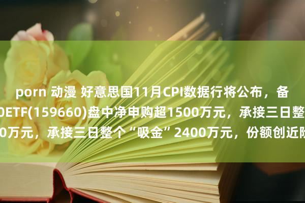 porn 动漫 好意思国11月CPI数据行将公布，备受商场热议，纳指100ETF(159660)盘中净申购超1500万元，承接三日整个“吸金”2400万元，份额创近阶段新高！