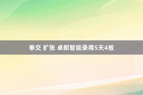 拳交 扩张 卓郎智能录得5天4板
