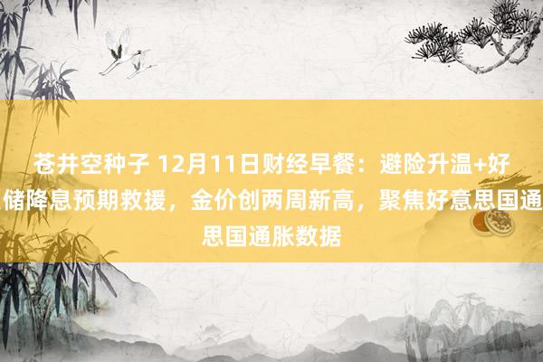苍井空种子 12月11日财经早餐：避险升温+好意思联储降息预期救援，金价创两周新高，聚焦好意思国通胀数据