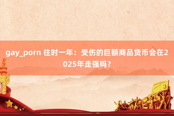 gay_porn 往时一年：受伤的巨额商品货币会在2025年走强吗？