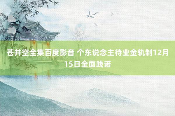 苍井空全集百度影音 个东说念主待业金轨制12月15日全面践诺