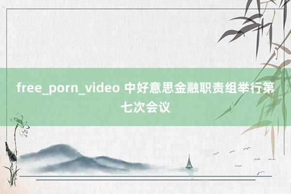 free_porn_video 中好意思金融职责组举行第七次会议
