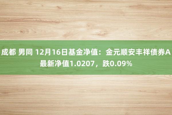 成都 男同 12月16日基金净值：金元顺安丰祥债券A最新净值1.0207，跌0.09%