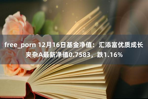 free_porn 12月16日基金净值：汇添富优质成长夹杂A最新净值0.7583，跌1.16%