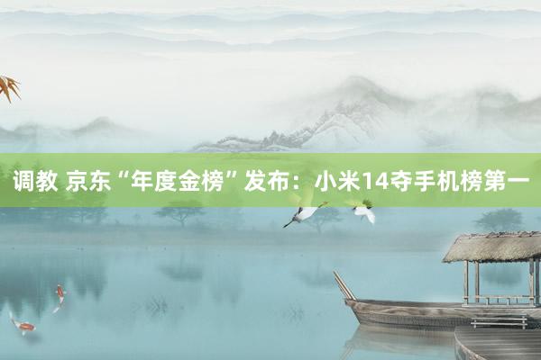 调教 京东“年度金榜”发布：小米14夺手机榜第一