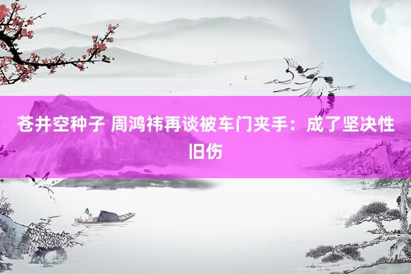 苍井空种子 周鸿祎再谈被车门夹手：成了坚决性旧伤