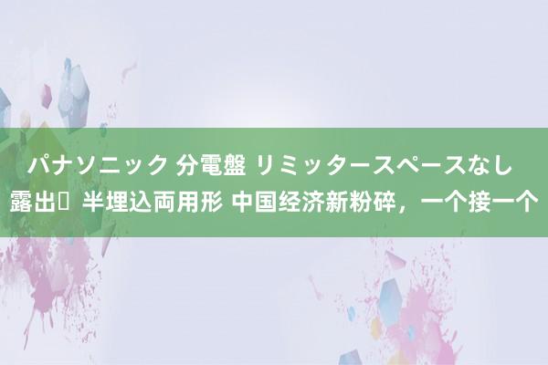 パナソニック 分電盤 リミッタースペースなし 露出・半埋込両用形 中国经济新粉碎，一个接一个