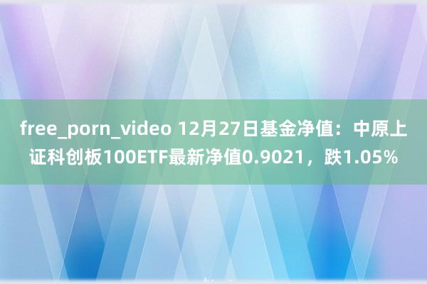 free_porn_video 12月27日基金净值：中原上证科创板100ETF最新净值0.9021，跌1.05%