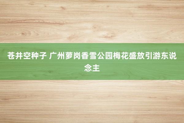 苍井空种子 广州萝岗香雪公园梅花盛放引游东说念主