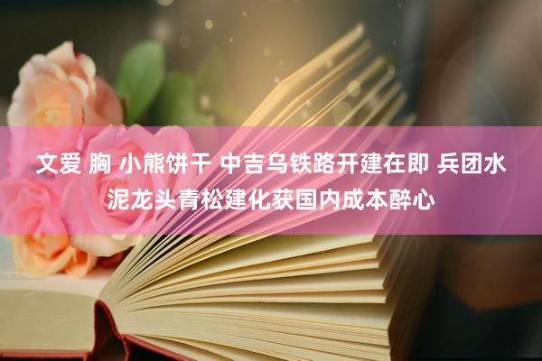 文爱 胸 小熊饼干 中吉乌铁路开建在即 兵团水泥龙头青松建化获国内成本醉心