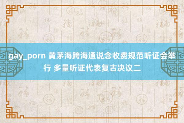gay_porn 黄茅海跨海通说念收费规范听证会举行 多量听证代表复古决议二