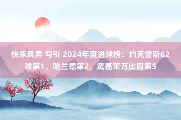快乐风男 勾引 2024年度进球榜：约克雷斯62球第1，哈兰德第2，武磊莱万比肩第5