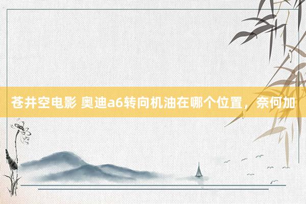 苍井空电影 奥迪a6转向机油在哪个位置，奈何加