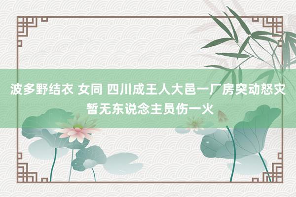 波多野结衣 女同 四川成王人大邑一厂房突动怒灾 暂无东说念主员伤一火